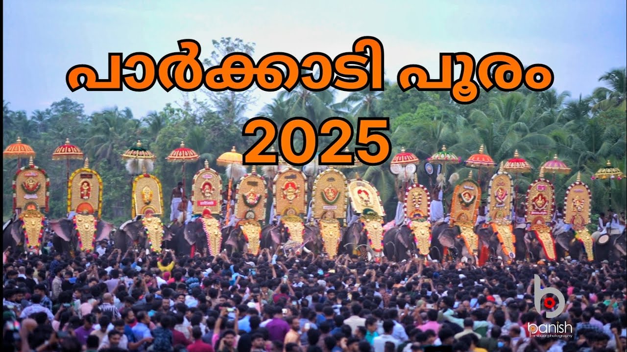 പാർക്കാടി പൂരം 2025 #aanapremi #aanakeralam #pooram #thrissurpooram #thrissurnews #kerala
