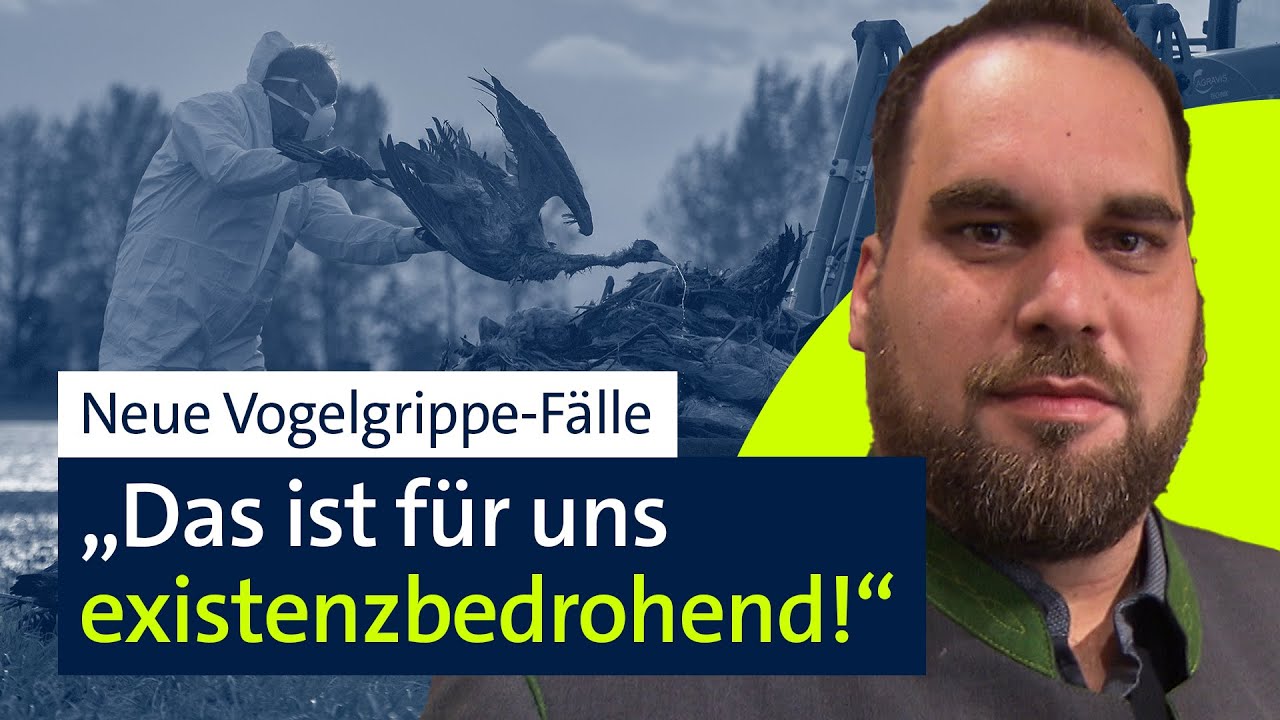 Immer mehr H5N1-Fälle - Wie groß ist die Gefahr? | BR24