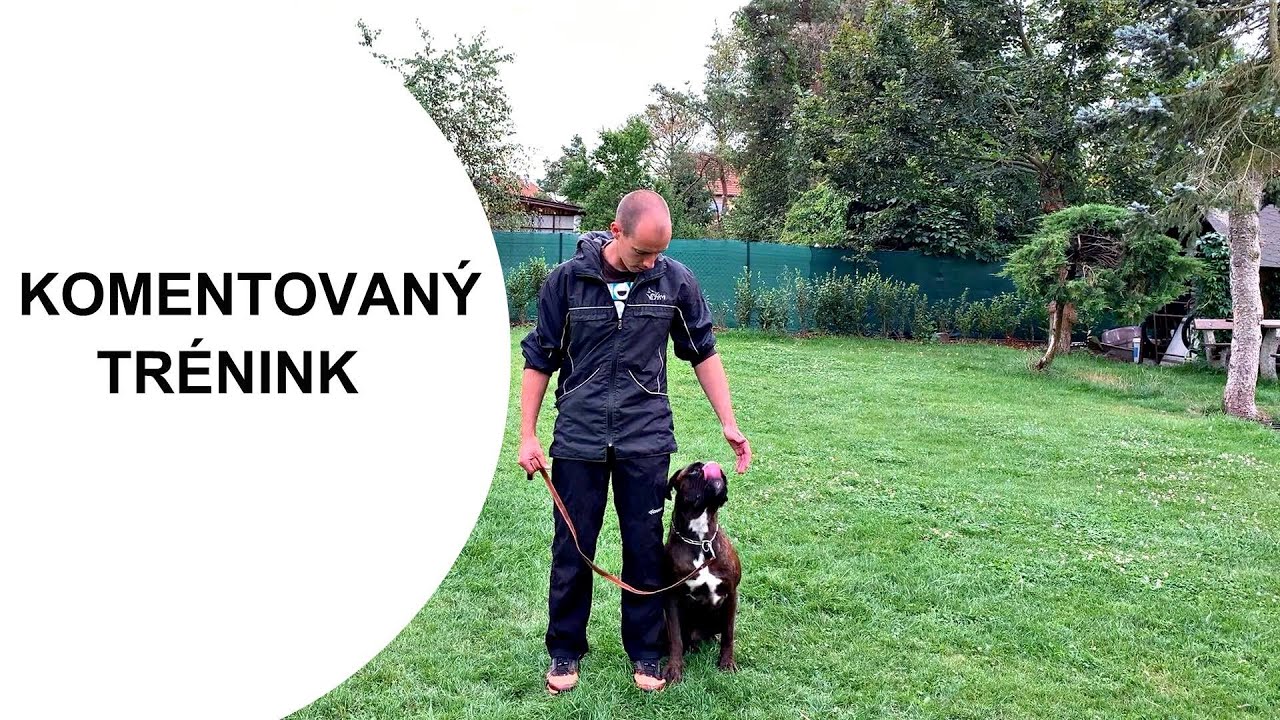 #60 Komentovaný trénink: Polohy KE MNĚ a K NOZE a zamyšlení nad závodem CACIT v Dobříši
