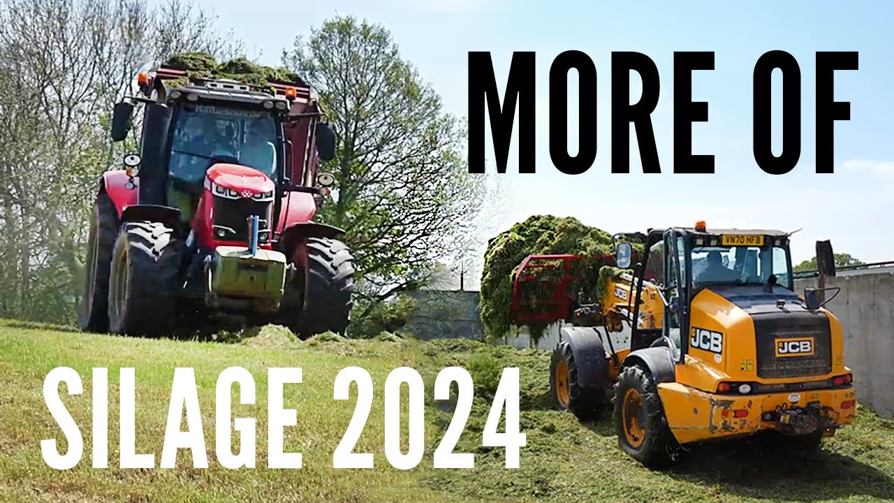 More of silage 2024 - First cut