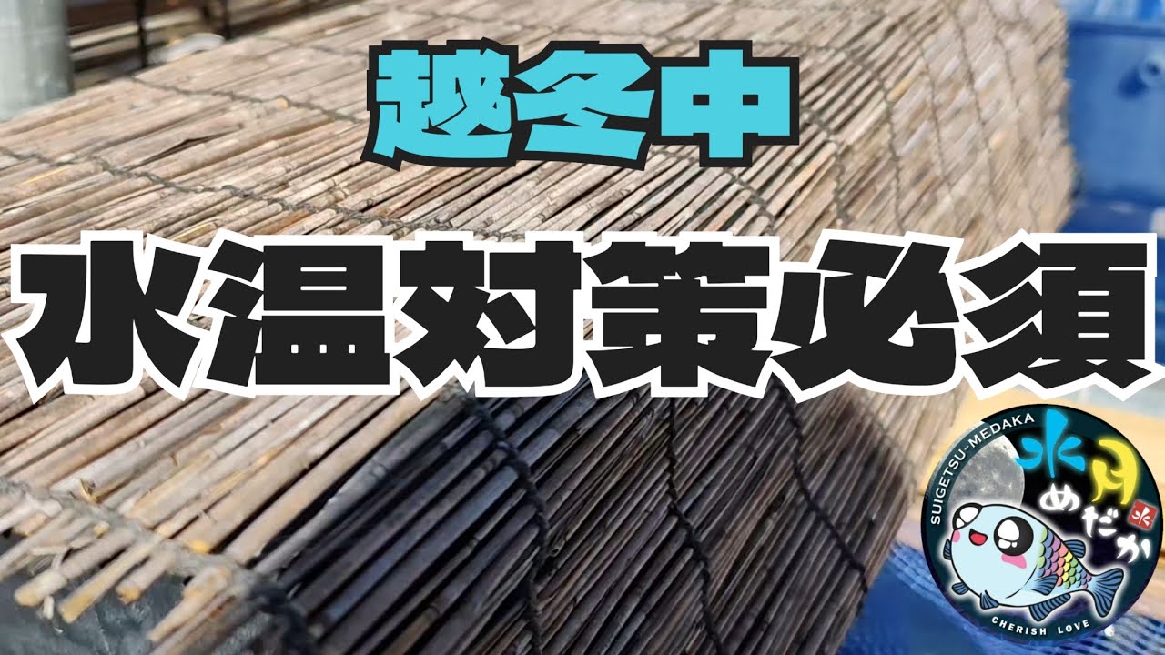 暖かい時ほど気をつけて