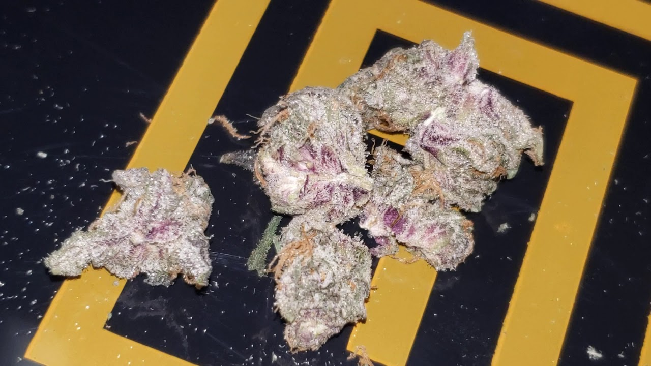 STRAIN REVIEW 167: cookies & dream - TTC
