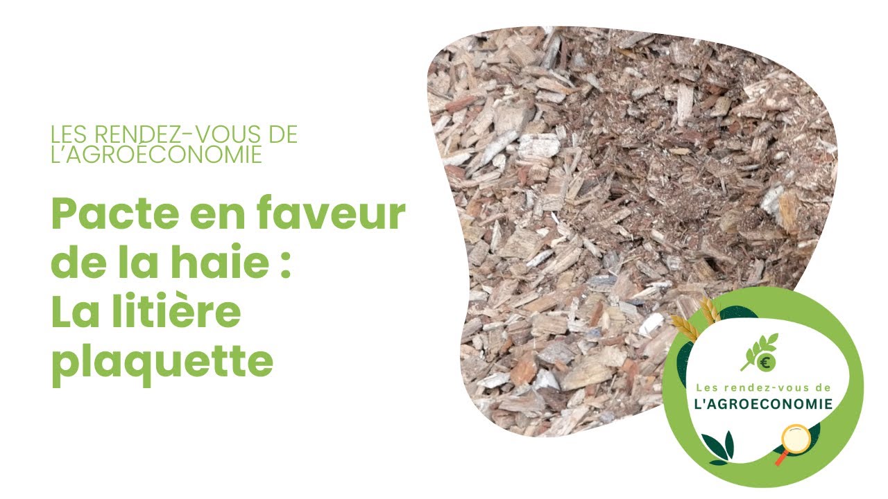 Pacte en faveur de la haie : La litière plaquette
