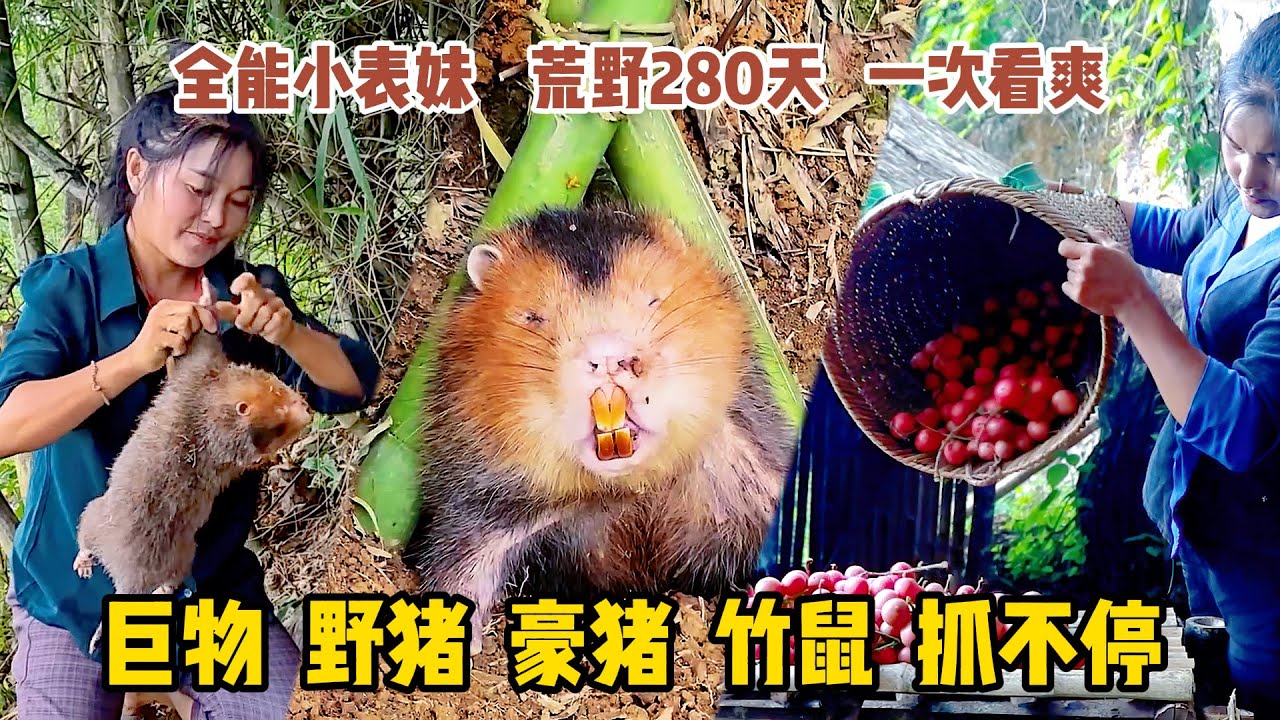 荒野小表妹獨自野外生存300天，一次看爽，利用和竹子捕捉極品竹鼠，還有野豬野雞都好貨，真是強！