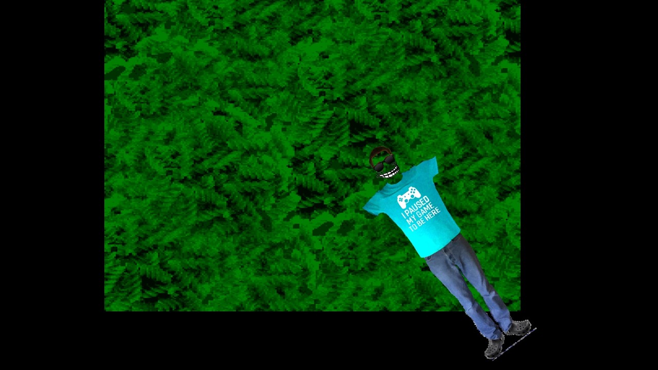 Gull Boss Fight Template phase 2