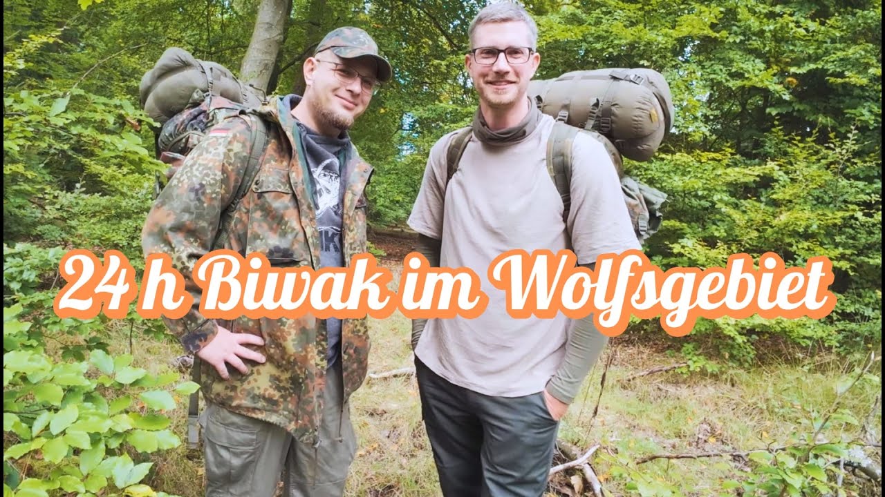 24 Stunden im Wolfsgebiet: Unser Abenteuer beim Biwakieren in der Wildnis