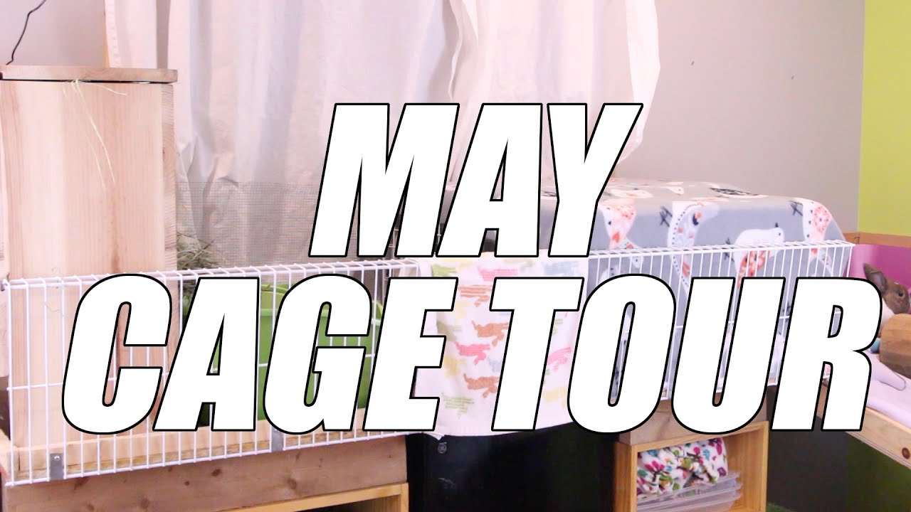 NEW BUNNY ROOM SET UP - May's Cage Tour!