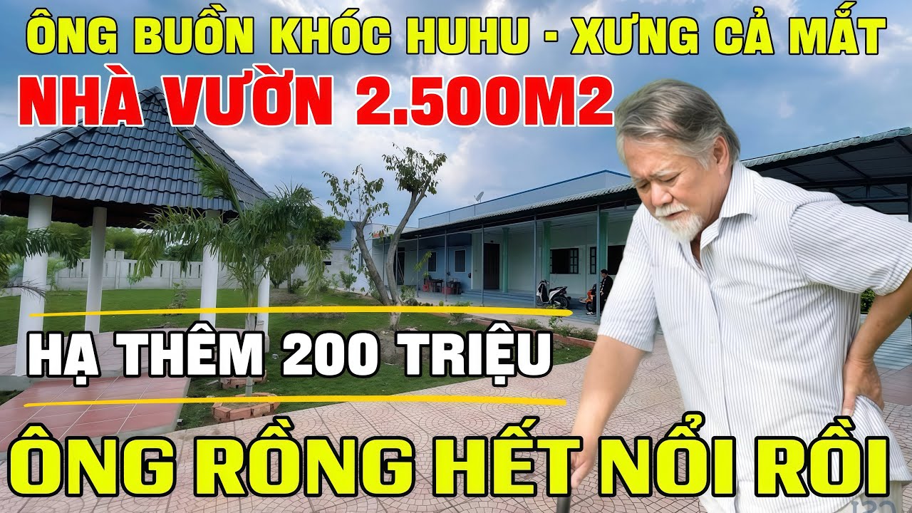 Tập 300 NHÀ VƯỜN 2.500m2 | Ông Đuối Lắm Rồi Hạ Thêm 200 Triệu | Toàn Cây Mai Quý | Nhà Vườn Long An✅