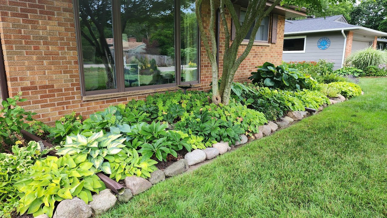 Deadheading in the Hosta Shade Garden 🪴🌿🪴