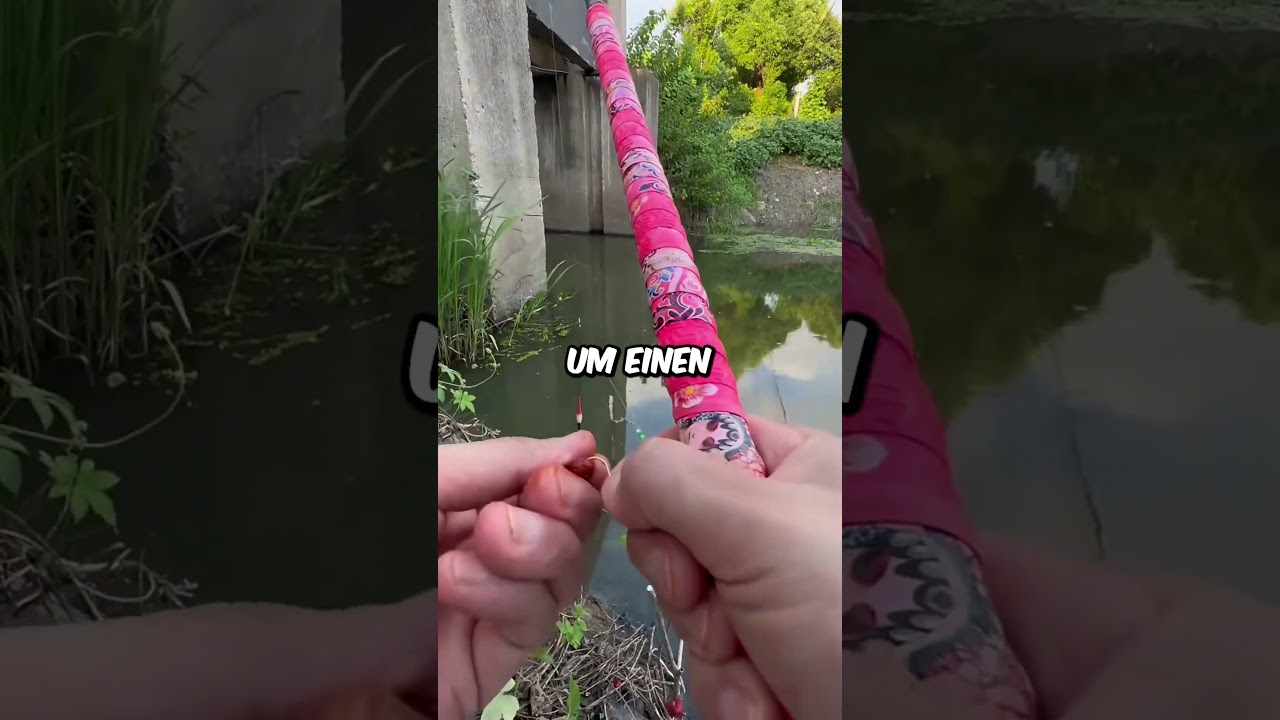 Der gr&ouml;&szlig;te Fisch an der Angel ever! #shorts