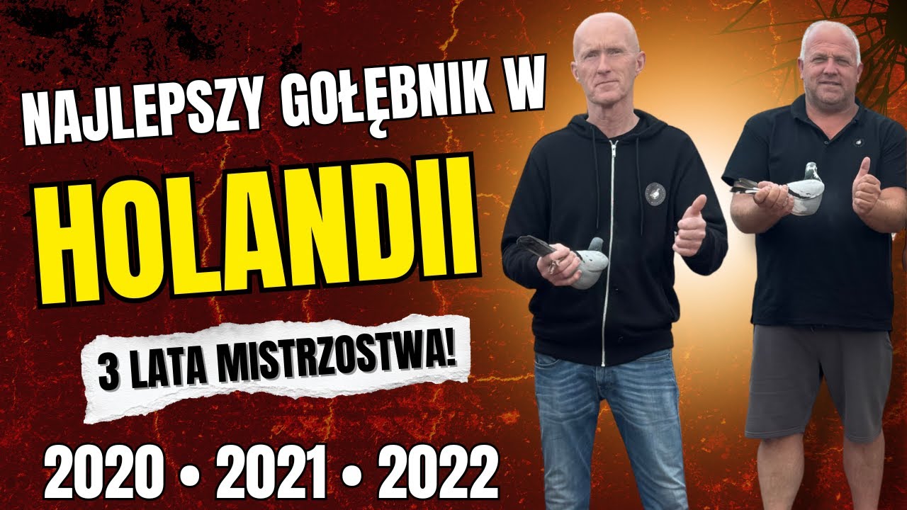 Sekrety Mistrzów z Holandii – 3 Lata Dominacji! 🏆