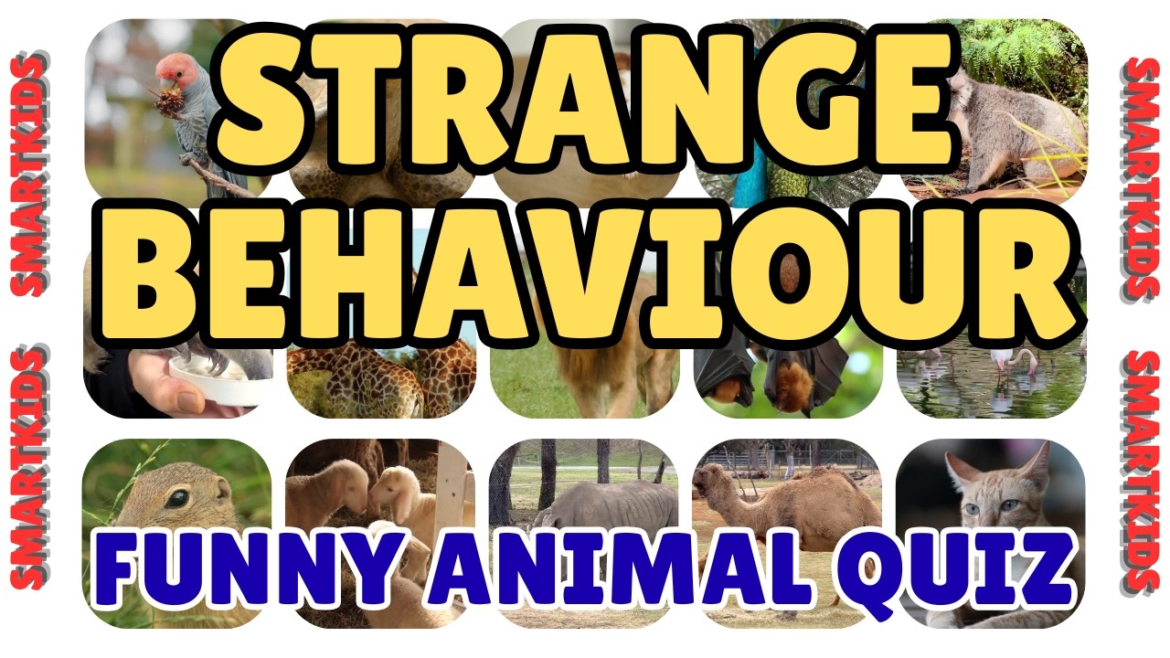 THINK YOU KNOW STRANGE ANIMAL BEHAVIOR? Part 1 - FUNNY QUIZ FOR KIDS AND TODDLER