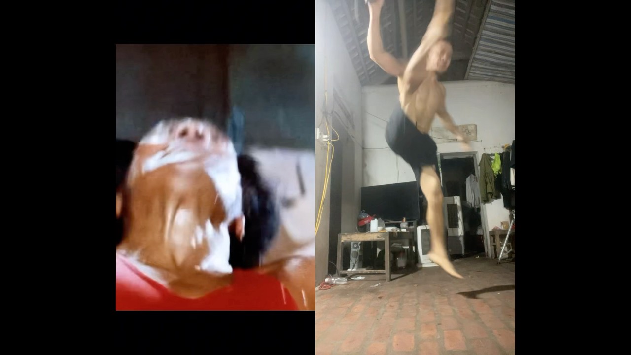 #kungfu