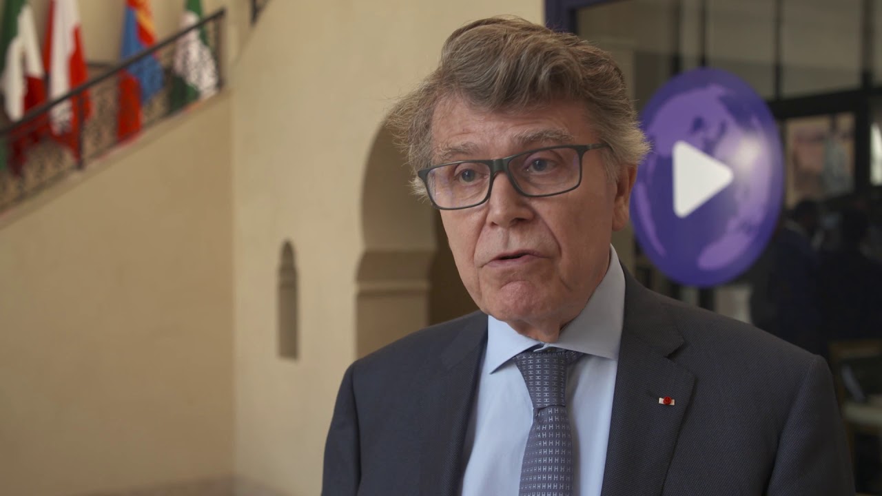WPC 2019 Presentation  - Thierry de Montbrial