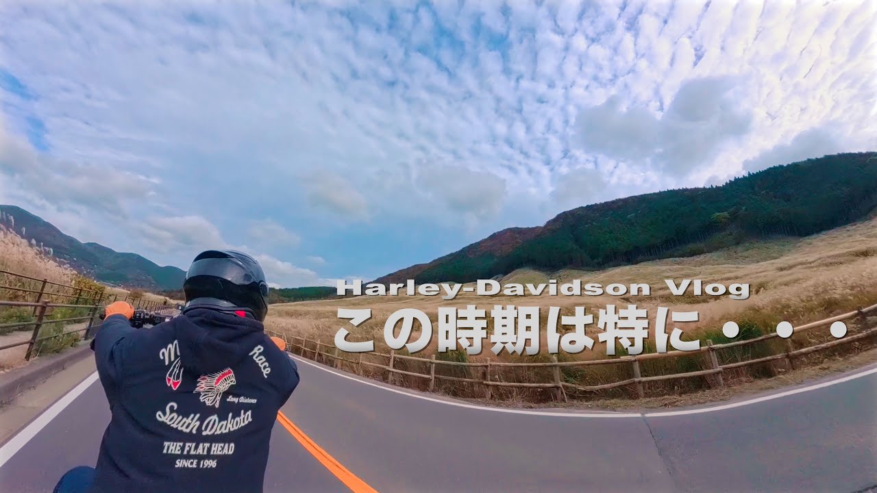 【ハーレー】伊豆スカイラインツーリング