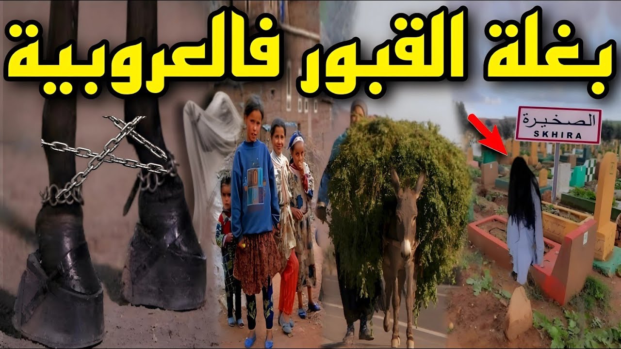 قصة رعب[بغلة القبور فالعروبية]  144#|قصص رعب الواقعية بالدارجة المغربية 9isas ro3b wa9i3iya