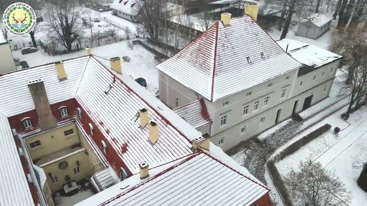 Technikum Leśne w Miliczu | szort #3 - Ostatni śnieg tej zimy? (17.02.2026)