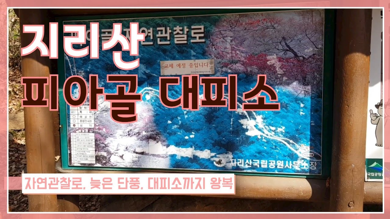 지리산 피아골 대피소 왕복 트레킹/21년11월중순/늦은 단풍/피아골 경관쉼터