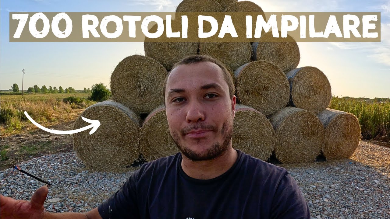 Paglia 2023: episodio 2