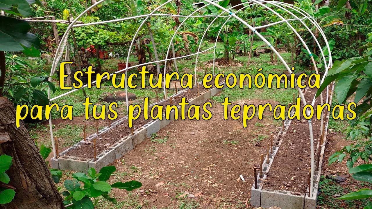 ESTRUCTURA TIPO TUNEL PARA PLANTAS TREPADORAS
