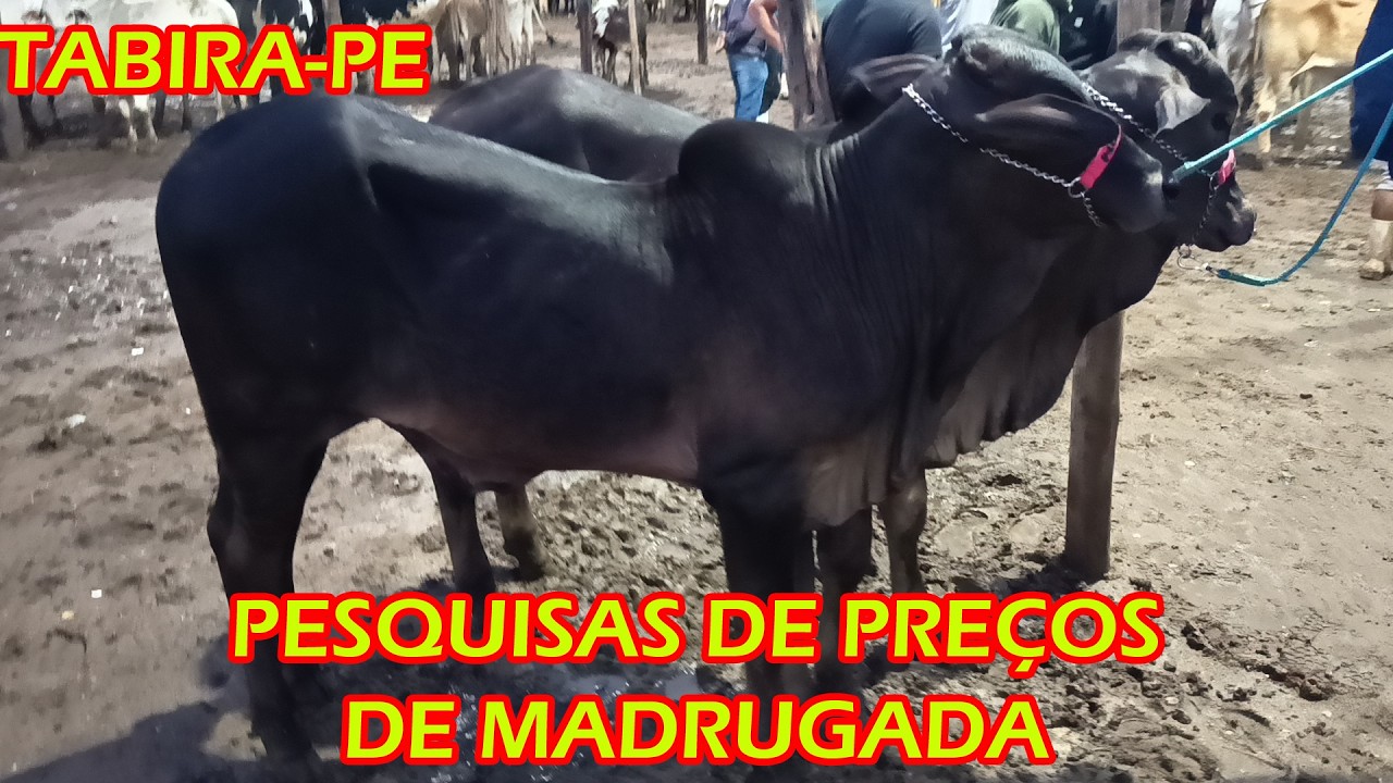 Pesquisa de preços de Madrugada em Tabira-PE (18/03/26)
