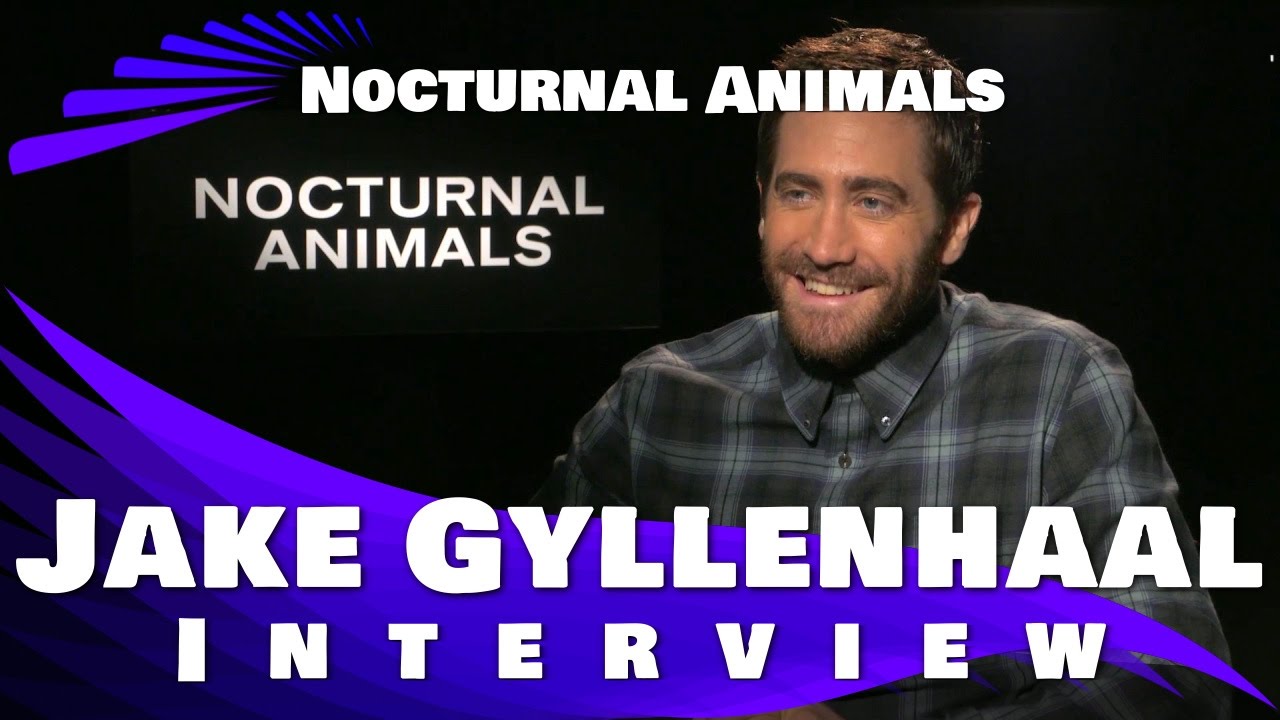 Jake Gyllenhaal Interview - NOCTURNAL ANIMALS