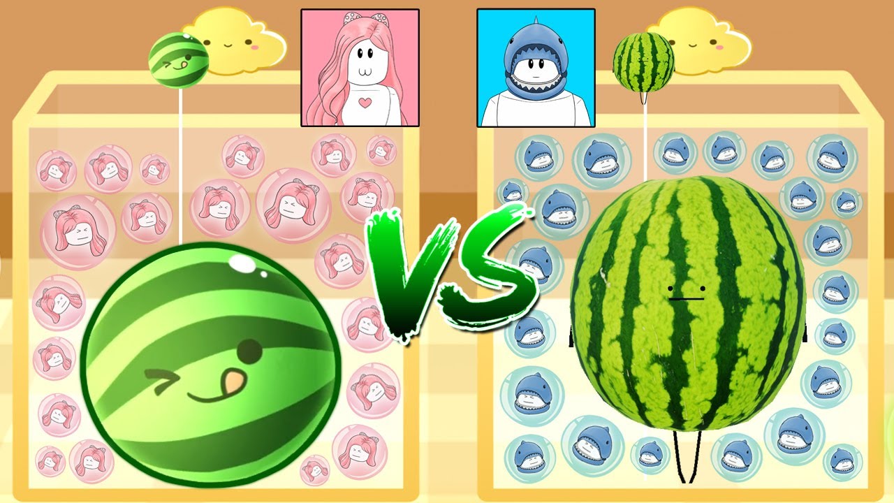 [로블록스] 자존심이 걸린 수박 만들기 대전을 해요!! 과연 누가 먼저 수박을 만들까요?? (Watermelon Go Duels ) - 민또 경또 -