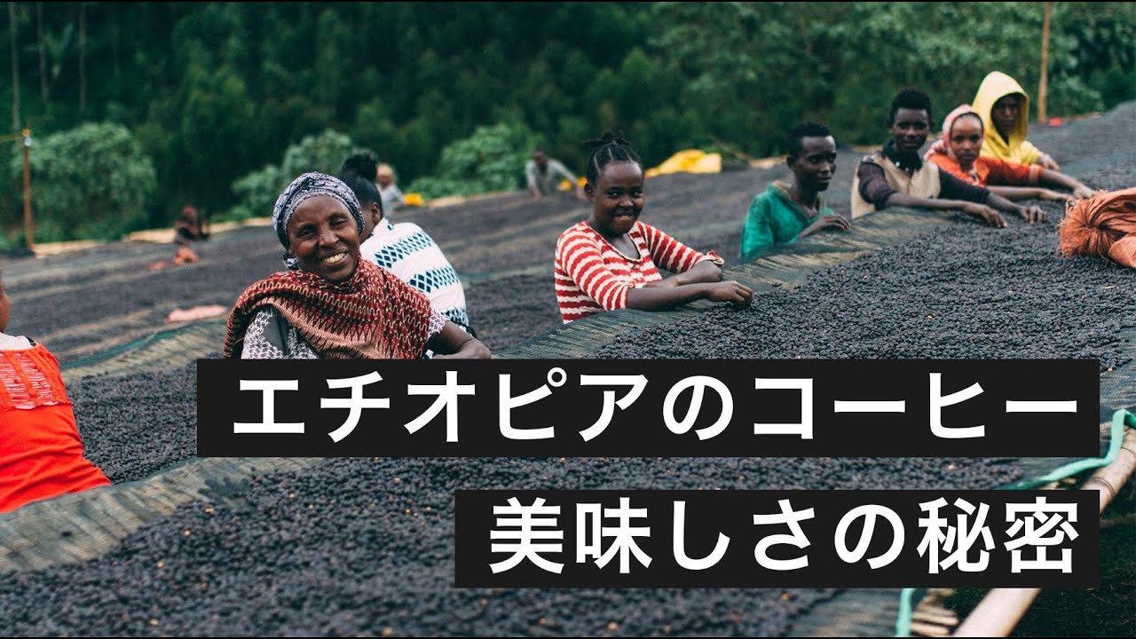 コーヒーの起源エチオピアの旅 美味しさの秘密と生産者の暮らし