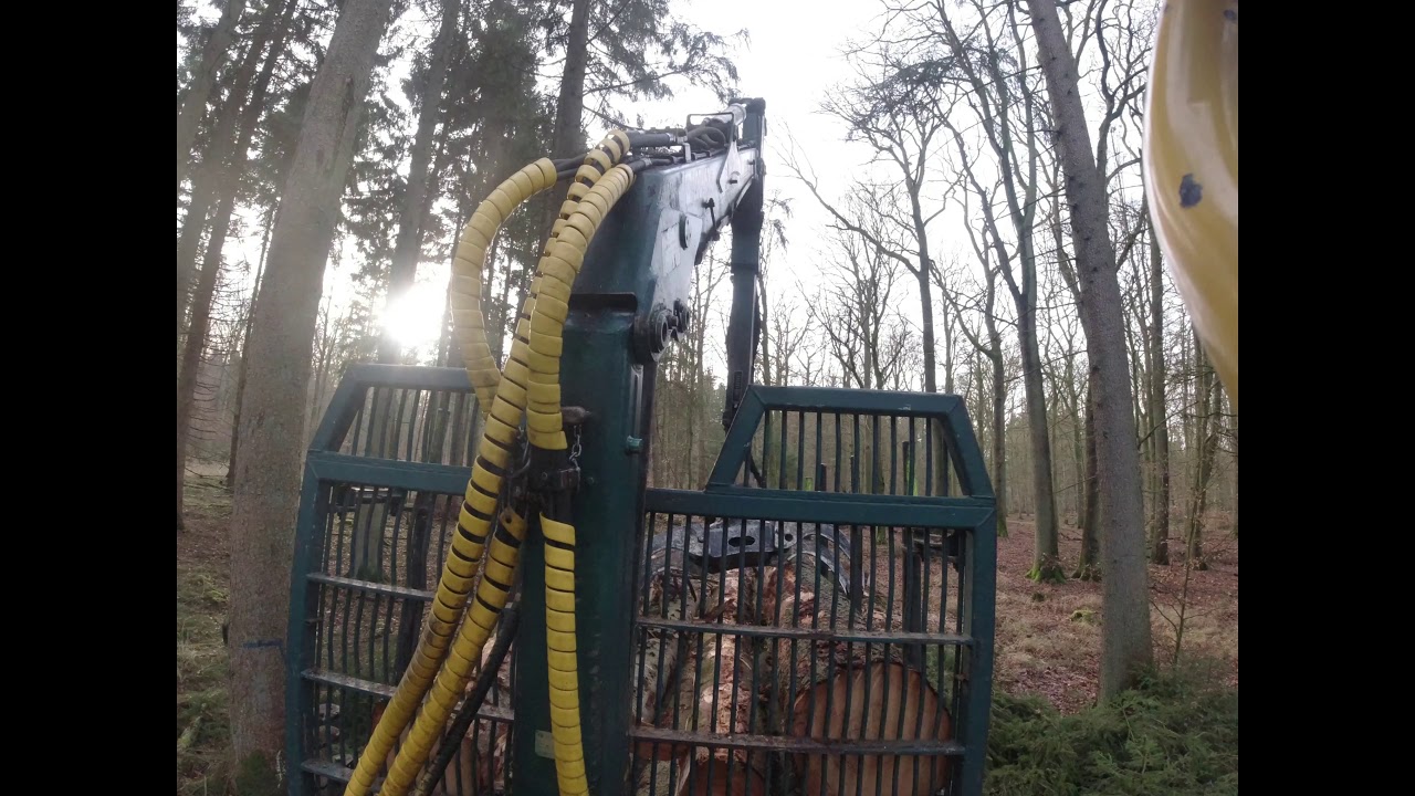HSM 208F Forwarder Käferholz laden und abladen
