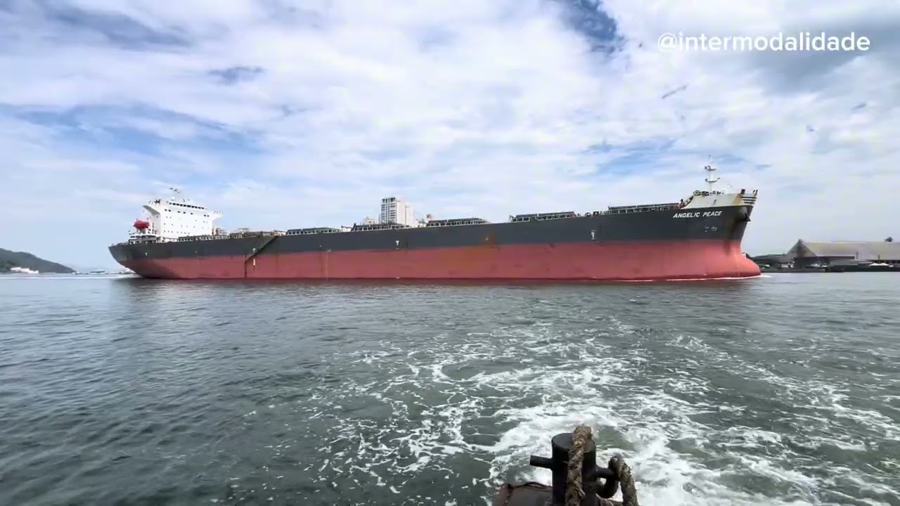 Navio Graneleiro Angelic Peace no Porto de Santos #ship #curiosidades #hobby #transport 