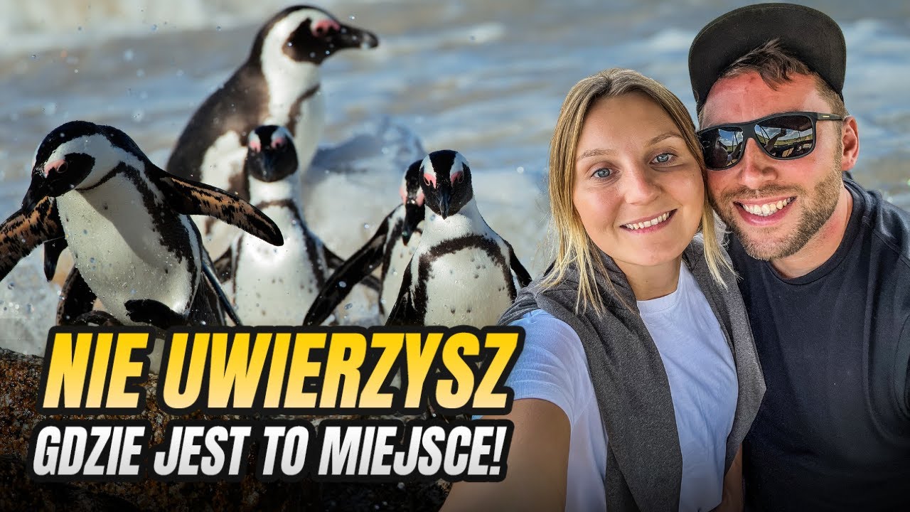 Plaża, na której spotkasz pingwiny