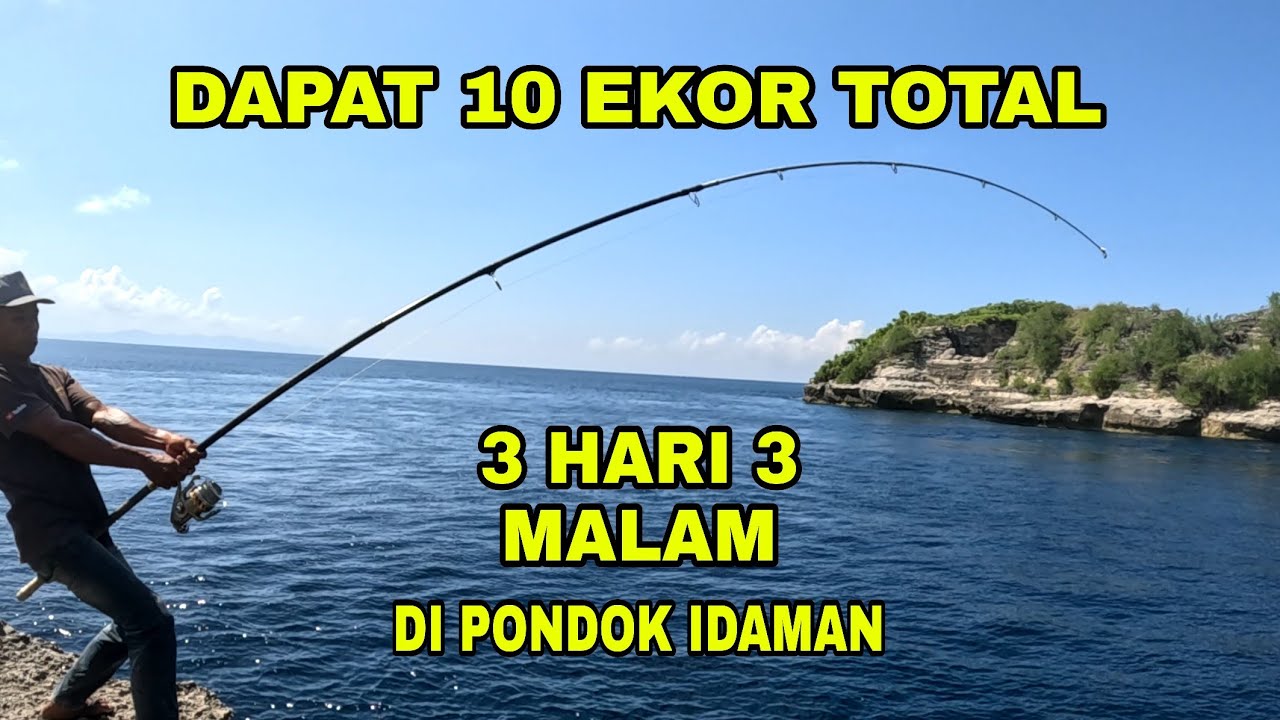 ⛔Tiga hari di pondok idaman