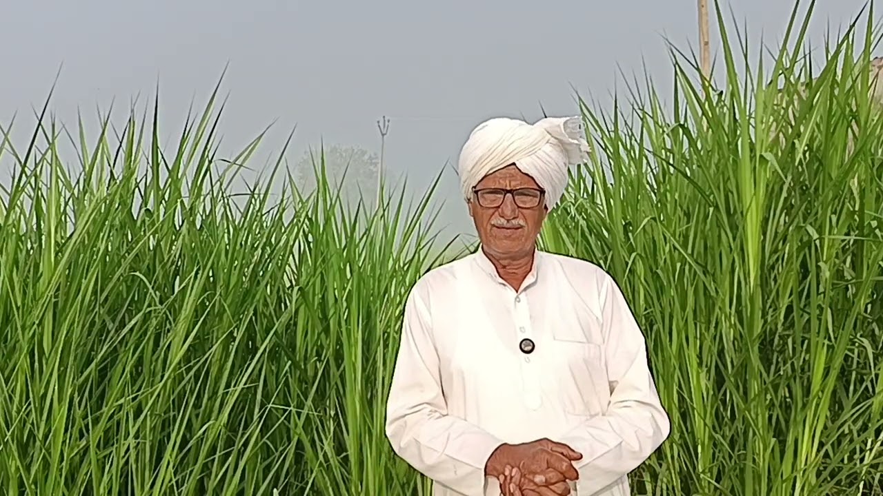 दो हंसते खेलते परिवार उजड़ कर हो गए बर्बाद दो की हत्या तीन गए जेल एक आदमी ने बना दी मूंछ की लड़ाई 