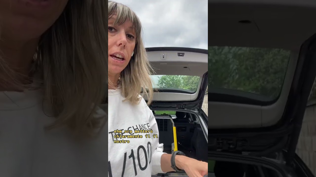 Dettaglio del trasportino per cani crash tested