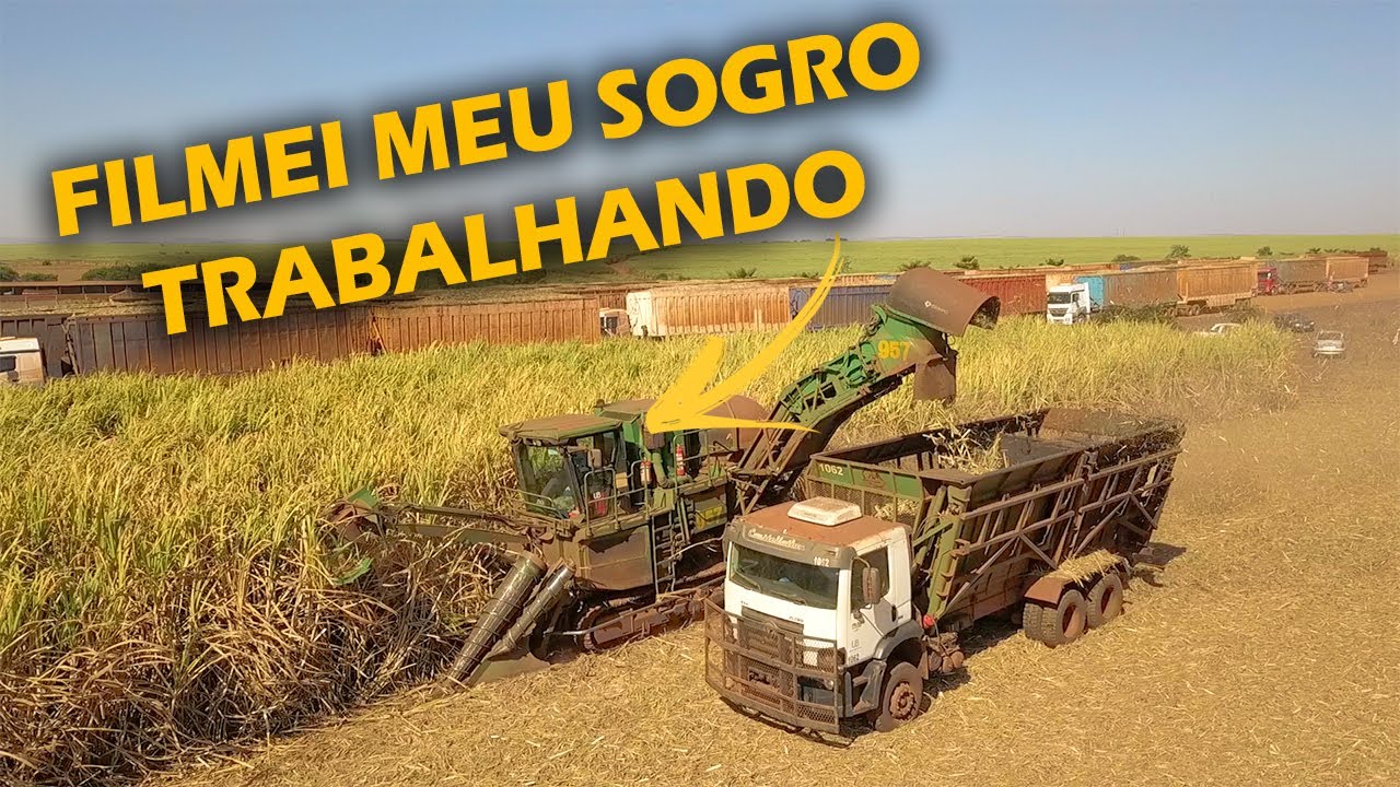 PUXANDO CANA POR 1 DIA COMIGO - VIDA DE CANAVIEIRO