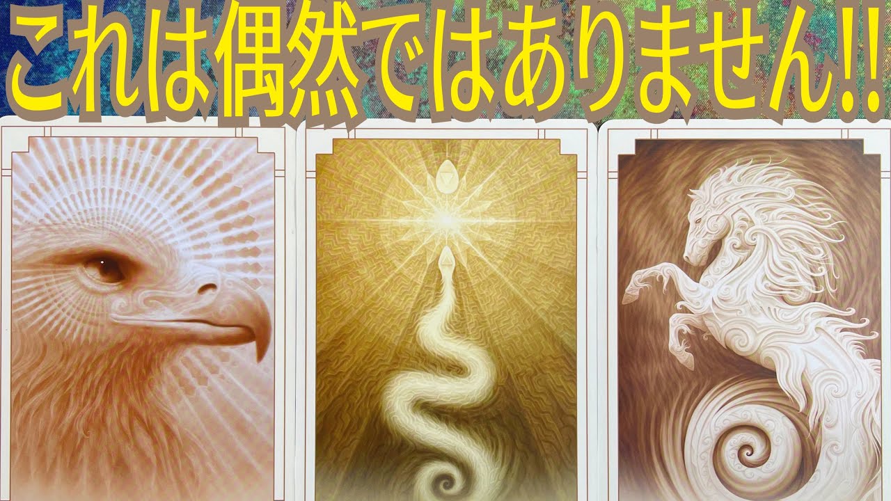 【白蛇🐍お告げ】お金の苦労はもう終わり‼️白蛇が導く奇跡の金運覚醒ストーリー💰✨