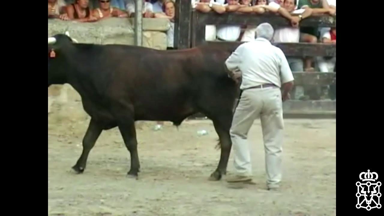 Echando la vista atrás... Carcastillo 2005 Santos Zapatería
