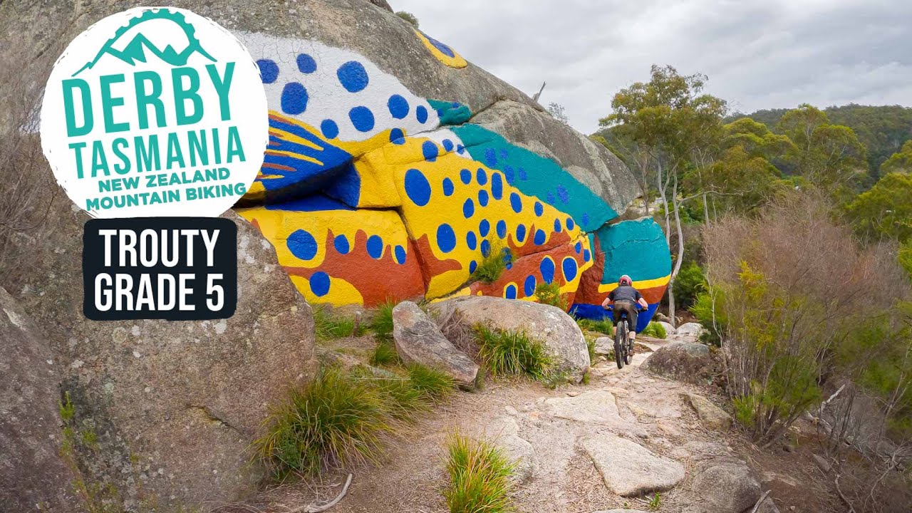 Welcome to Derby! Trouty Trail | Blue Derby MTB, Tasmania