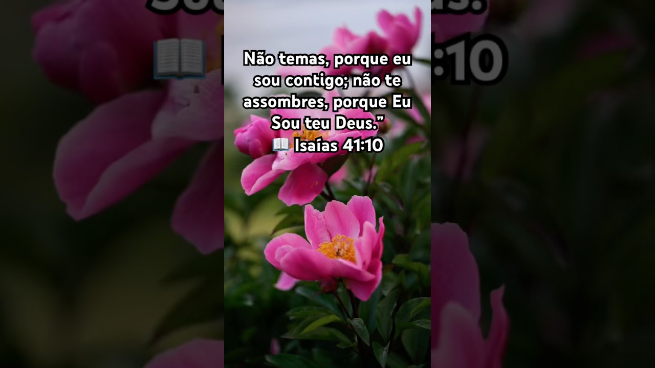 Não vou temer, porque Deus está comigo em todo tempo. 🙌✨