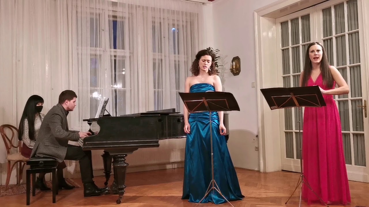 I bevitori - Gaetano Donizetti