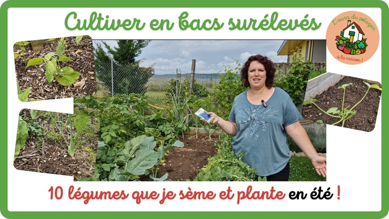 Cultiver en bac surélevé - 10 légumes que je sème et plante en été !