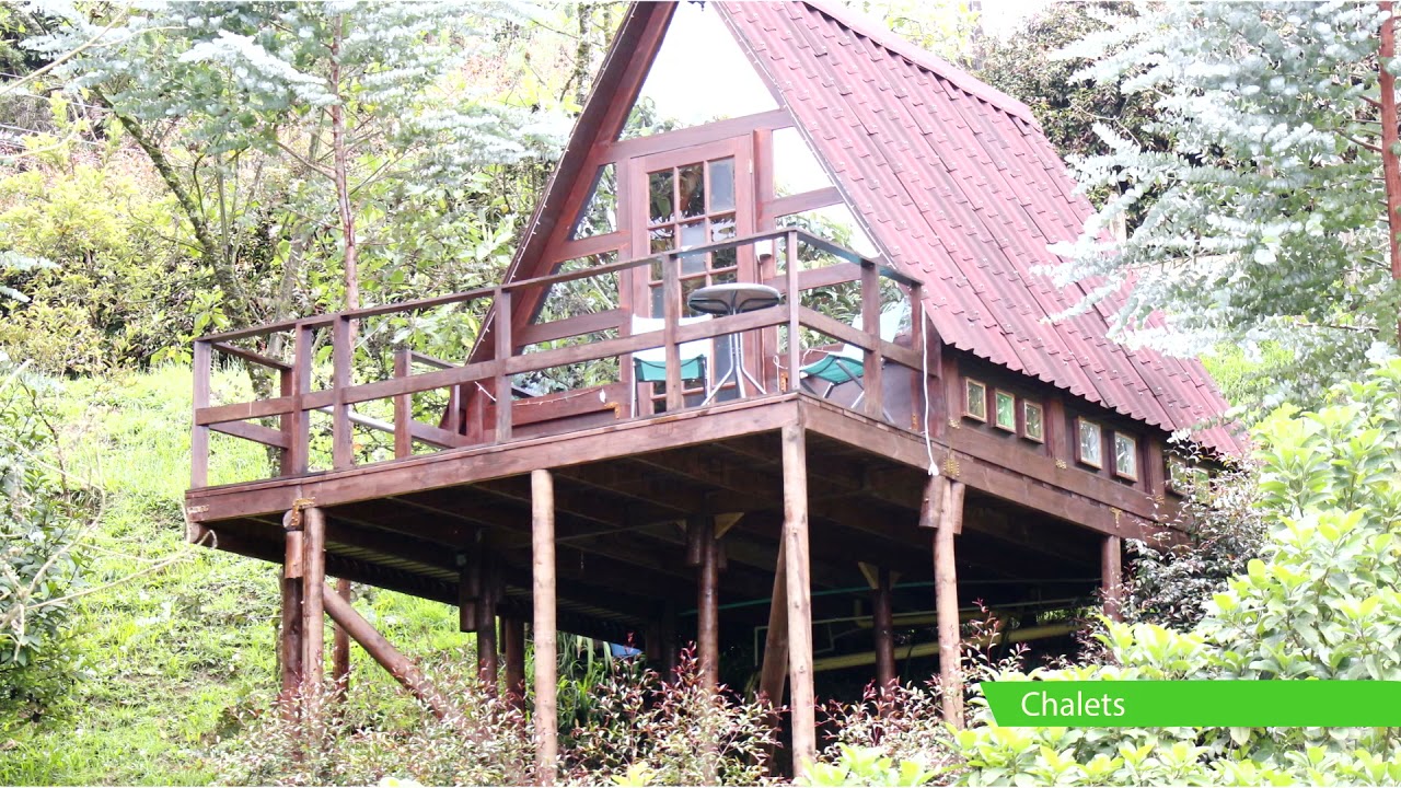 Cabañas y Chalets la Silleta paraíso de aves y plantas
