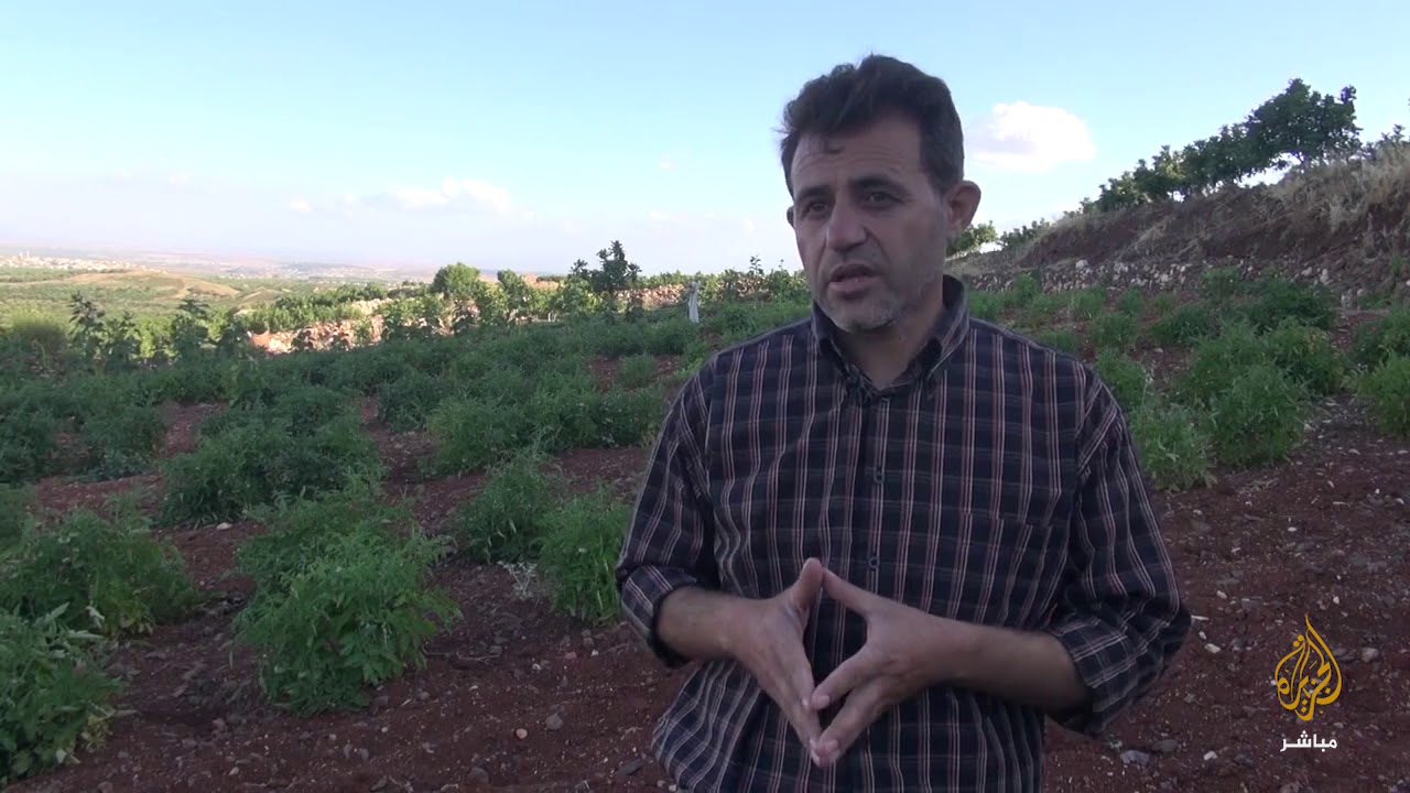 الزراعة البعلية في إدلب