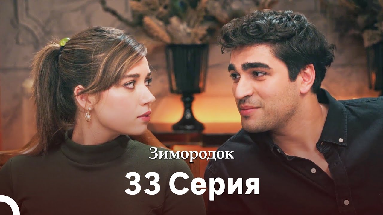 Зимородок 33 Cерия (Русский дубляж)(Длинная Cекция)