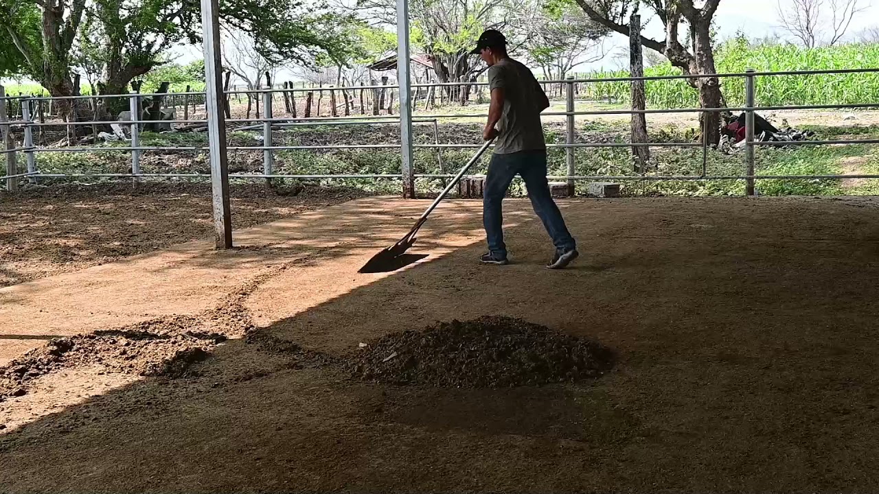 Cómo se Limpia un Corral de Ganado-El Salvador en el Campo
