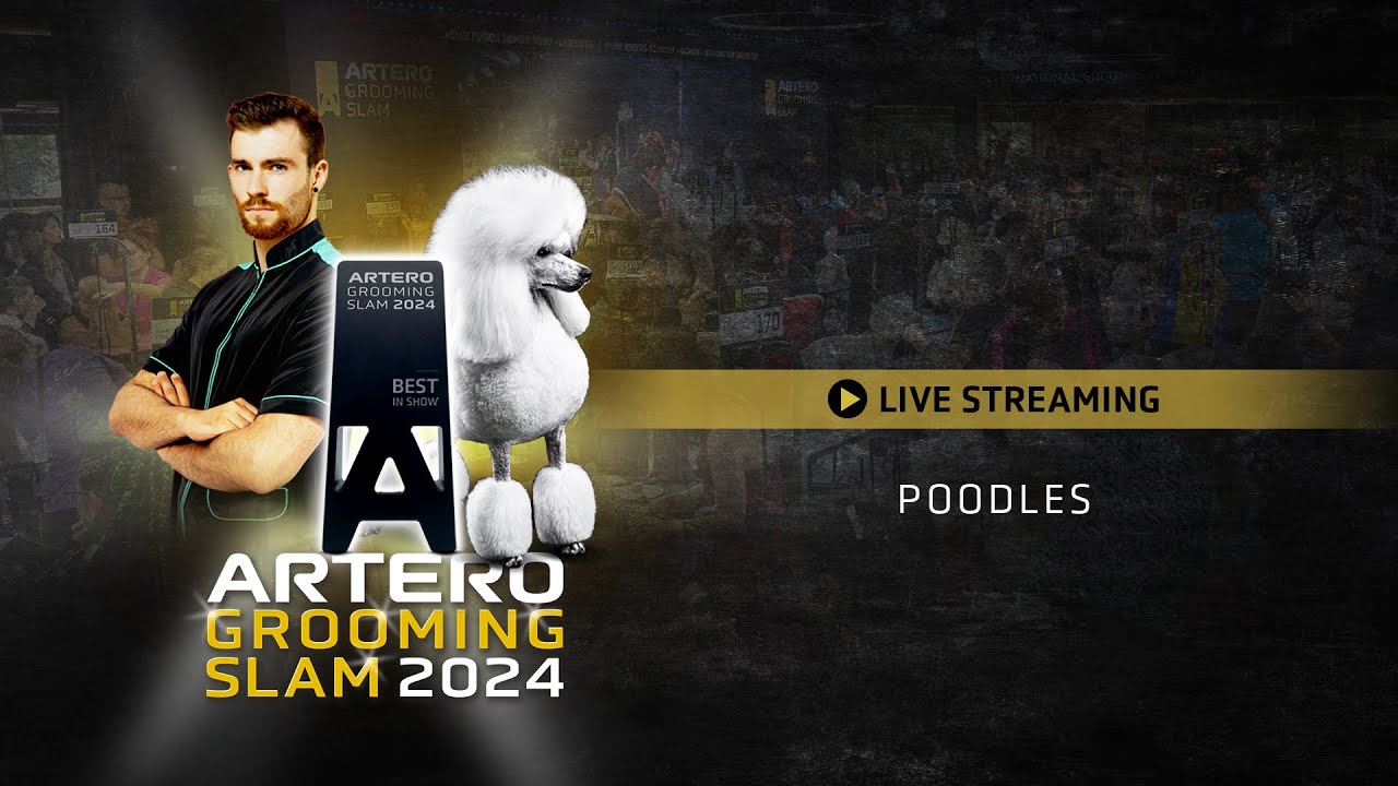 Poodles & Awards Ceremony - Sunday Afternoon - Live Artero Grooming Slam 2024 - Barcelona