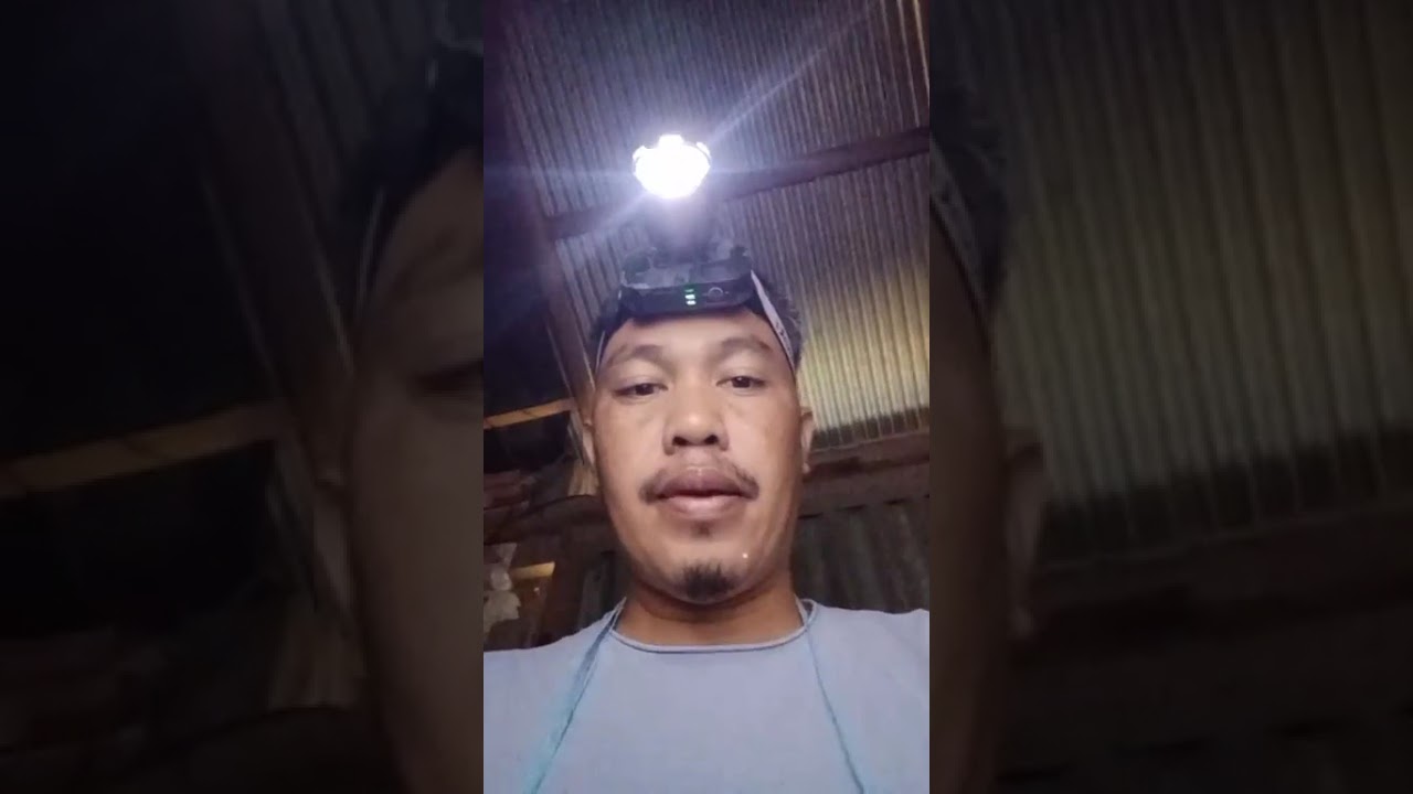Cek lagi rbw kecil sukses menginapkan burung walet 👍👍👍