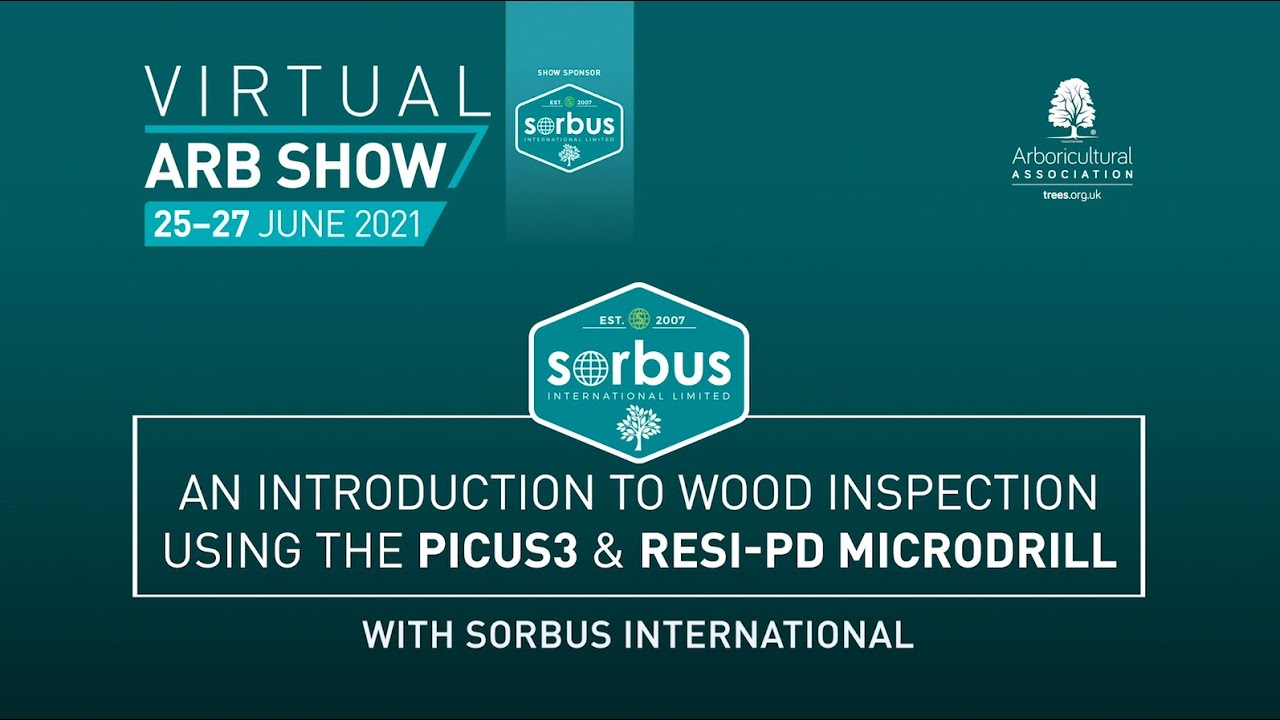 Webinar: An introduction to wood inspection (with Mark Vestey, Sorbus International)