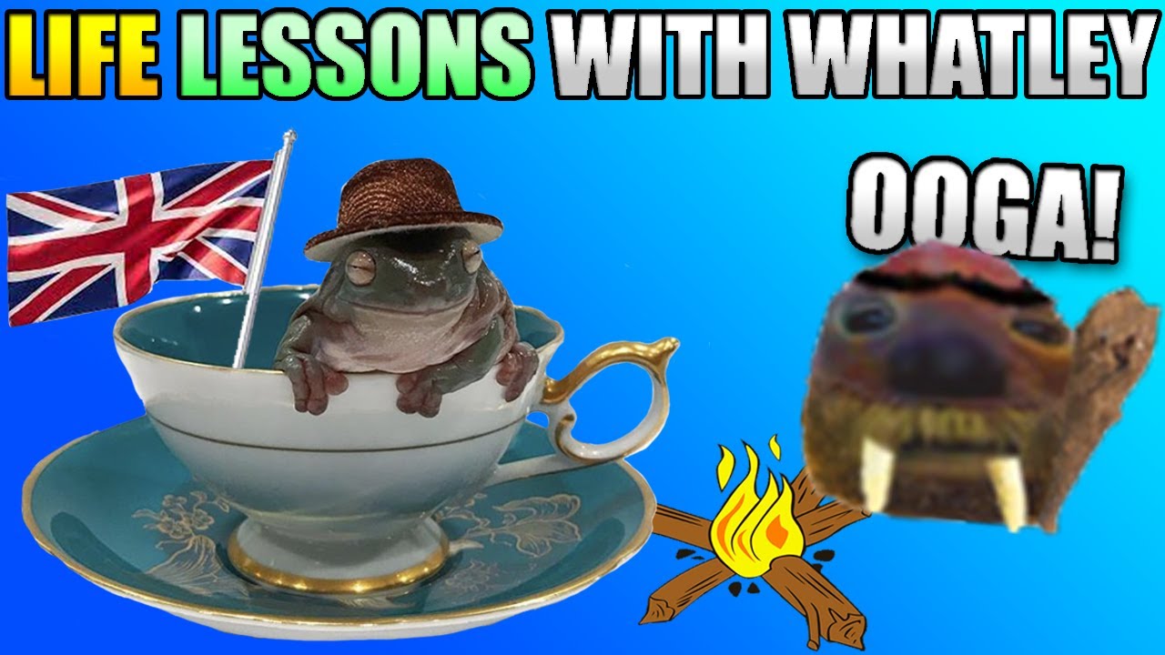 LIFE LESSONS WITH @NoArmWhatley 💀☕🍞