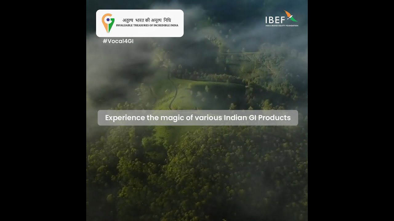 Buckle up for a whirlwind tour of India's incredible GI tagged products!